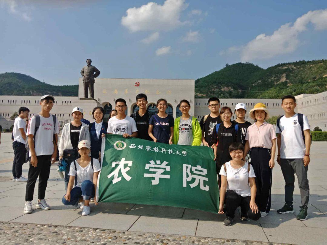 宝宝什么时候补锌最佳时间
